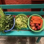 Local,organic produce